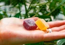 What CBN Adds to a Delta 9 Sleep Gummy